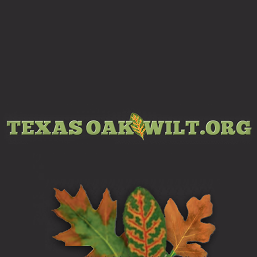 Texas Oak Wilt Org logo