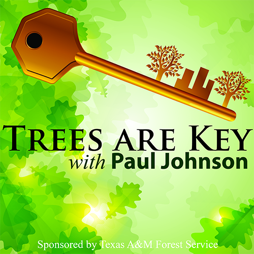 Trees Are Key Podcast with Paul Johnson image