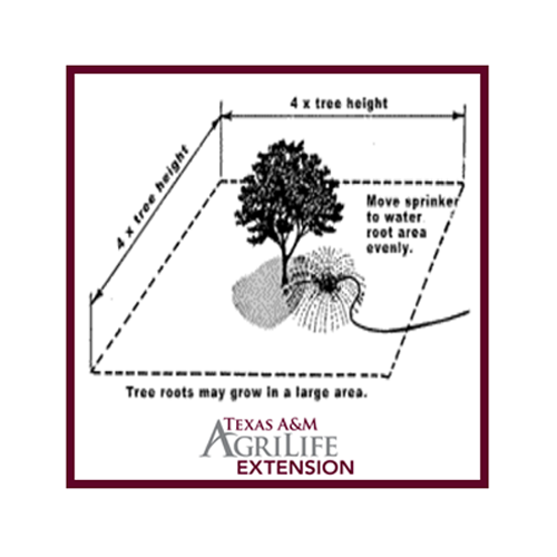 Tree Watering Guide from Texas A&M