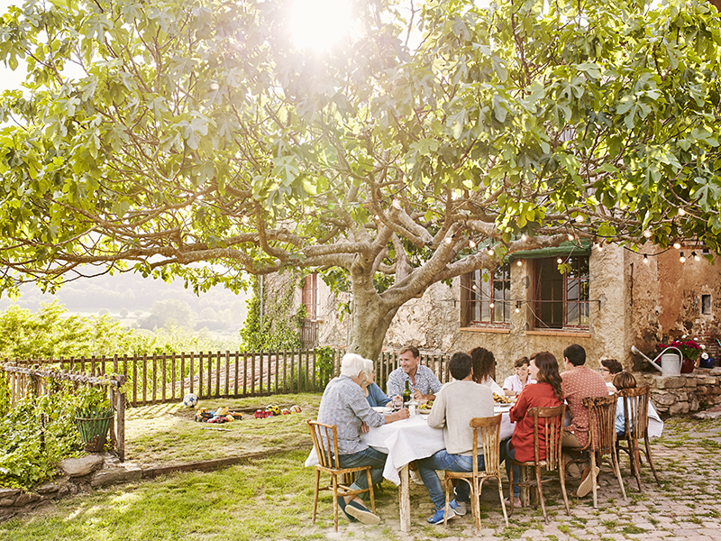 Family having meal below tree in yard. People are spending leisure time together. They are relaxing outside house.