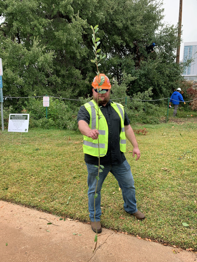 Jake Mitchell with Heritage Tree Care shows growth from Treaty Oak in Austin, Texas.
