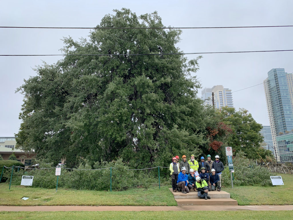 Tree care workers and arborists pose with the Treaty Oak in Austin, Texas in 2019.