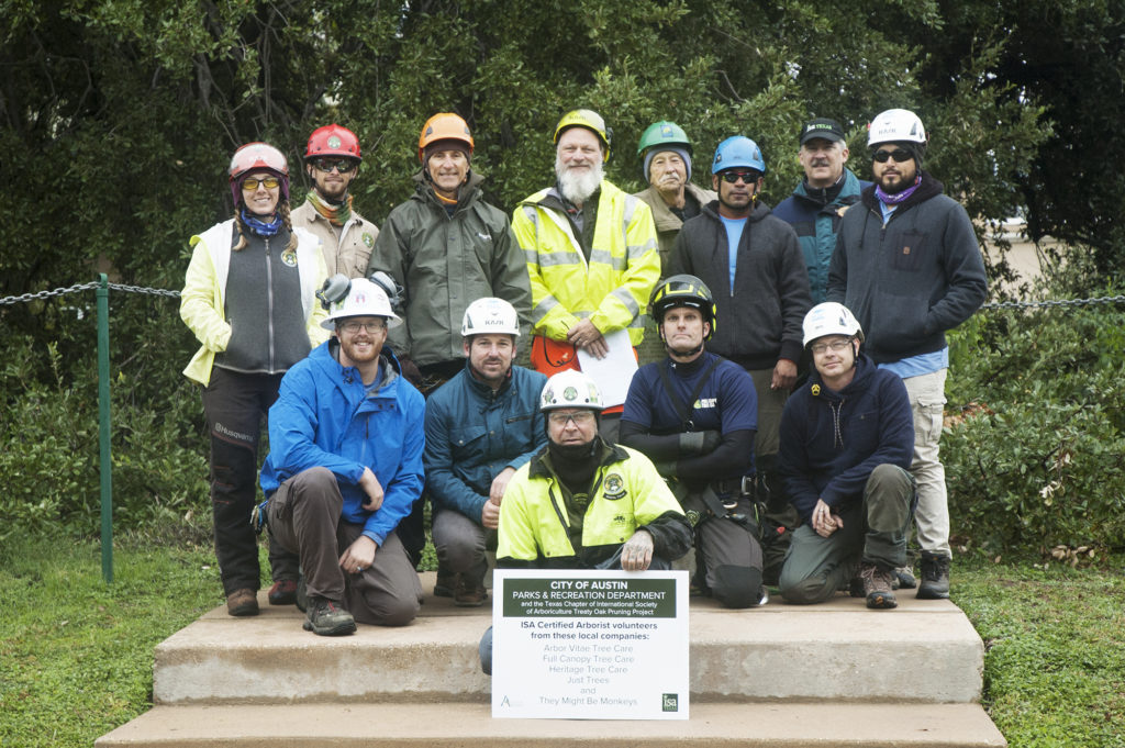 Arborists from local tree care companies pose in front of the Treaty Oak in Austin, Texas.