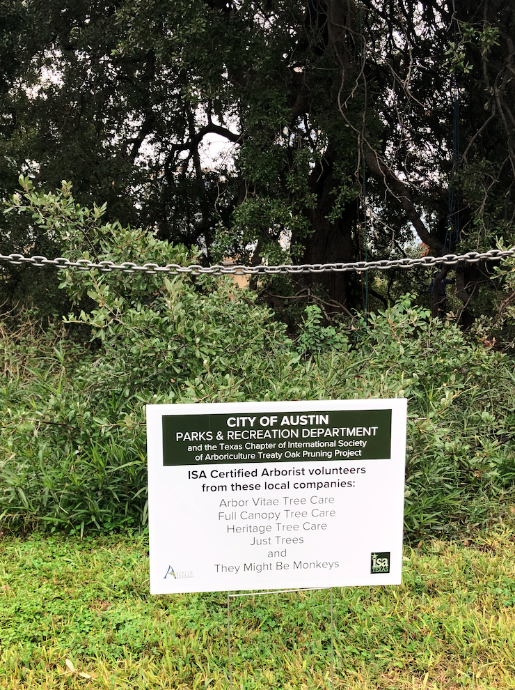 Sign listing tree care companies chosen to work on the Treaty Oak in Austin, 2019.