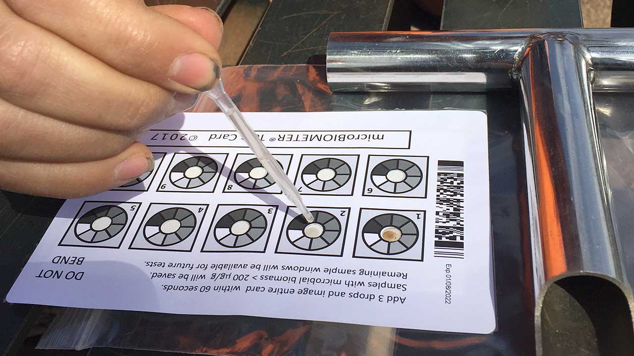 Looking for the Best Tree Service? Heritage Tree Care