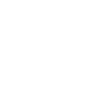 icon expert tree care