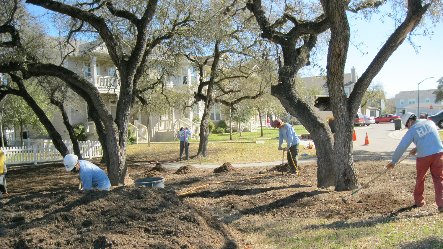 Austin tree service workers mulch trees at a community park.