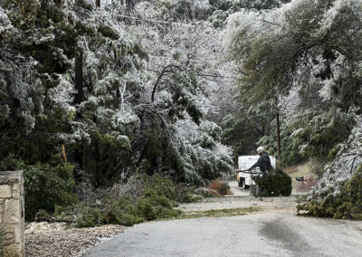 man removes branches impeding a street after an ice storm