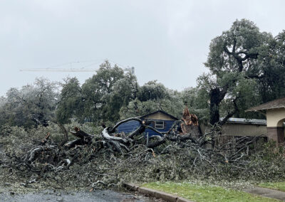 large broken tree lies partly in street