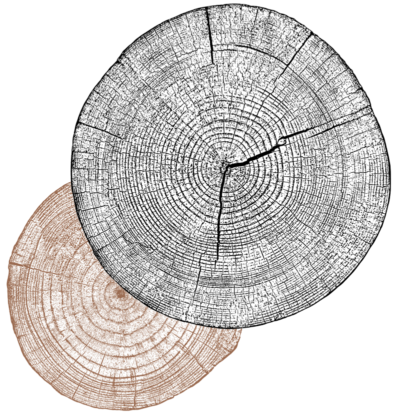 A graphic with two side-cut tree cookies overlapping.